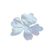 Cabujón de cáscara blanca, Nácar Blanca, Flor, natural, Bricolaje, Blanco, 36.4x31.3mm, Vendido por UD