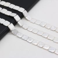 Natural White Shell Beads, Shell Pearl,  Square, DIY, white, 12mm Approx 38 cm 