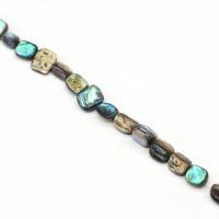 Abalone Shell Beads, DIY, mixed colors, 10mm 