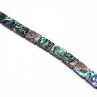 Abalone Shell Beads, Rectangle, DIY, mixed colors 