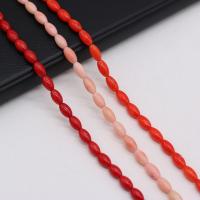 Natural Coral Beads, Drum, DIY 4x8- Approx 38 cm 