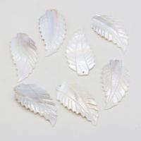 Natural Freshwater Shell Pendants, Leaf, Carved, DIY, white 