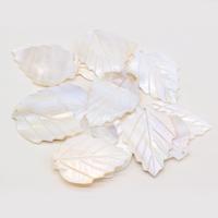 天然シェル・ペンダント, 清水貝類, 葉っぱ, 彫刻, DIY, ホワイト 売り手 パソコン