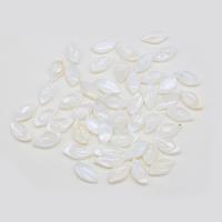 Natural Freshwater Shell Pendants, Leaf, DIY, white 