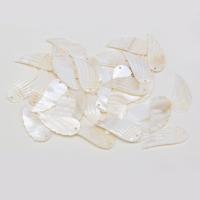 Natural Freshwater Shell Pendants, Wing Shape, Carved, DIY, white 