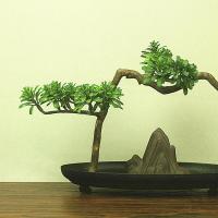 Artificial Plant, Pine, plated, for home and office & durable 