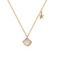 Shell Necklace, Titanium Steel, with Shell, with 2.48inch extender chain, gold color plated, box chain & for woman & with rhinestone, 11mm .97 Inch 