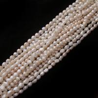 Barock kultivierten Süßwassersee Perlen, DIY, keine, 4-12MM, Länge:38 cm, verkauft von kg