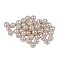 Natural Freshwater Pearl Loose Beads, fashion jewelry & DIY, white, 13-14mm 