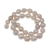 Barock kultivierten Süßwassersee Perlen, Natürliche kultivierte Süßwasserperlen, DIY, keine, 12-13mm, Länge:38 cm, verkauft von Strang