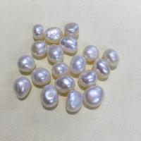 No Hole Cultured Freshwater Pearl Beads, Natural & DIY, white, 10-11mm 