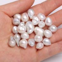 No Hole Cultured Freshwater Pearl Beads, Natural & DIY, white, 10-12mm 