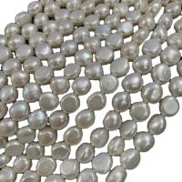Bouton de culture des perles d'eau douce, perle d'eau douce cultivée, Rond, DIY, blanc, 7-8mm cm, Vendu par brin