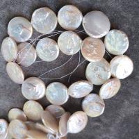 Бусины из искусственного пресноводного жемчуга в форме монеты, Пресноводные жемчуги, Плоская форма, естественный & DIY, белый, 20mm, длина:14.96 дюймовый, продается Strand