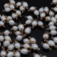 Perlas cultivadas de agua dulce Conector, con metal, Óvalo, chapado en color dorado, Natural & Bricolaje, 8x16-10x18mm, Vendido por UD