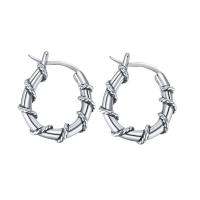 Stainless Steel Leverback Earring, for woman, 23mm 
