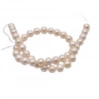 Round Cultured Freshwater Pearl Beads, DIY, white, 10-11mm cm 