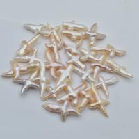 Perlas Freshwater sin Agujero, Perlas cultivadas de agua dulce, Bricolaje, Blanco, 25-40mm, Vendido por UD