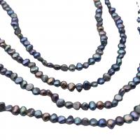 Perlas Patata Freshwater, Perlas cultivadas de agua dulce, Bricolaje, color mixto, 3-4mm, longitud:36-39 cm, Vendido por Sarta
