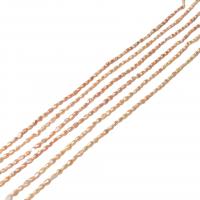 Rice Cultured Freshwater Pearl Beads, irregular, DIY, reddish orange, 3-4mm cm 