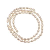 Rice Cultured Freshwater Pearl Beads, DIY, white cm 