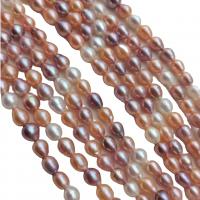 Baroque Cultured Freshwater Pearl Beads, Teardrop, DIY, multi-colored, 8-9mm cm 