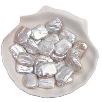 No Hole Cultured Freshwater Pearl Beads, Rectangle, DIY, white 
