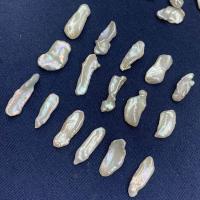 Perlas Freshwater sin Agujero, Perlas cultivadas de agua dulce, Barroco, Bricolaje, Blanco, 8-13mm, Vendido por UD