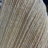 Perlas Botón Freshwater , Perlas cultivadas de agua dulce, Bricolaje, Blanco, 2.8-3.2mm, longitud:38 cm, Vendido por Sarta