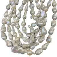 Perla Barroca Freshwater, Perlas cultivadas de agua dulce, Barroco, Bricolaje, Blanco, 10-12mm, longitud:40 cm, Vendido por Sarta