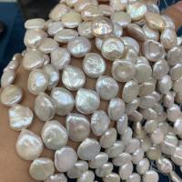 Perlas Moneda Freshwater, Perlas cultivadas de agua dulce, Bricolaje, Blanco, 13-15mm, longitud:38 cm, Vendido por Sarta