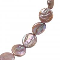 Pièce de culture des perles d'eau douce, perle d'eau douce cultivée, Plat rond, DIY, violet, 16-17mm cm Vendu par brin