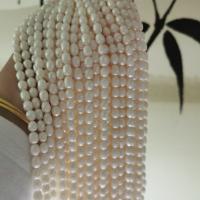 Rice Cultured Freshwater Pearl Beads, Natural & DIY white .17 Inch 