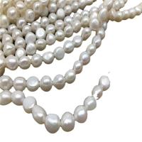 Button Cultured Freshwater Pearl Beads, Natural & fashion jewelry & DIY, white, 4mm .78-15.75 Inch 