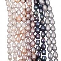 Rice Cultured Freshwater Pearl Beads, DIY 7-8mm cm 