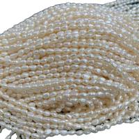 Perles d'eau douce de culture de riz, perle d'eau douce cultivée, DIY, blanc, 4mm cm, Vendu par brin