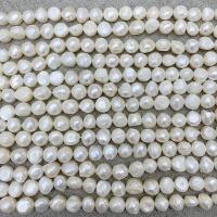 Perlas Botón Freshwater , Perlas cultivadas de agua dulce, Bricolaje, Blanco, 11-12mm, longitud:38 cm, Vendido por Sarta