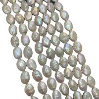 Perlas Keishi Cultivadas de Agua Dulce, Perlas cultivadas de agua dulce, Bricolaje, Blanco, 10mm, longitud:aproximado 38 cm, Vendido por Sarta