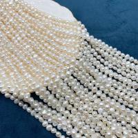 Perlas Botón Freshwater , Perlas cultivadas de agua dulce, Bricolaje, Blanco, 6-7mm, longitud:38 cm, Vendido por Sarta