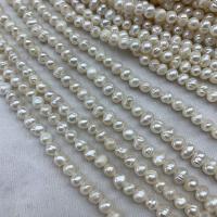 Perlas Botón Freshwater , Perlas cultivadas de agua dulce, Bricolaje, Blanco, 5mm, longitud:38 cm, Vendido por Sarta