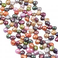 Perlas Keishi Cultivadas de Agua Dulce, Perlas cultivadas de agua dulce, Bricolaje, multicolor, 7-8mm, longitud:38-40 cm, Vendido por Sarta