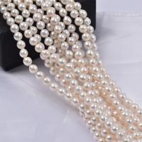 Baroque Cultured Freshwater Pearl Beads, DIY, white, 7-8mm cm 