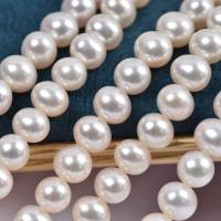 Round Cultured Freshwater Pearl Beads, Oval, DIY, white, 7-8mm cm 