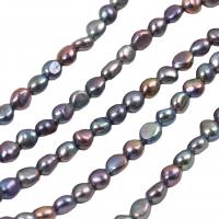 Rice Cultured Freshwater Pearl Beads, DIY, mixed colors cm 