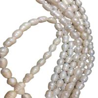 Button Cultured Freshwater Pearl Beads, Natural & fashion jewelry & DIY, white, 12-13mm .78-15.75 Inch 