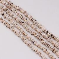 Perles en coquille naturel, DIY, blanc cm, Vendu par brin