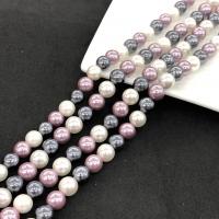 perle de coquillage teint, coquille, Rond, poli, DIY, couleurs mélangées cm, Vendu par brin