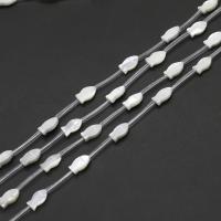 Natural White Shell Beads, Fish, DIY, white cm 