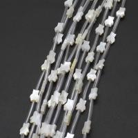 Natural White Shell Beads, DIY, white cm 