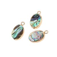 Abalone Shell Pendants, Brass, with Abalone Shell, Oval, 18K imitated gold plated, mixed colors 